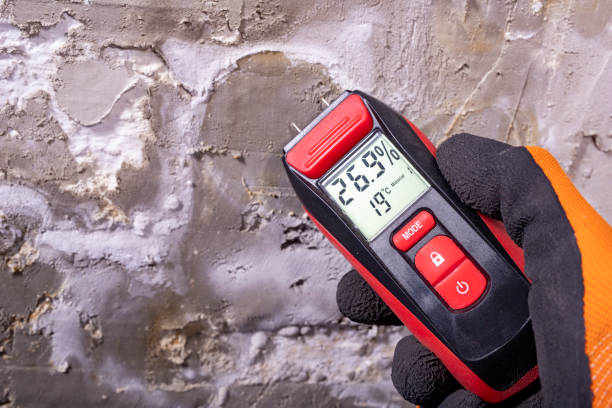 Trusted Lamesa, TX Mold Removal Experts