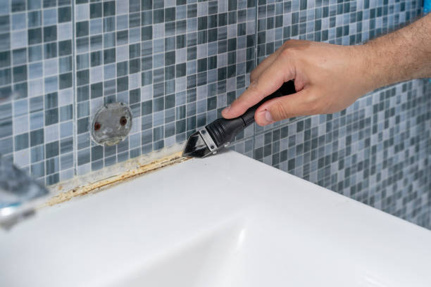 Best Mold Cleaning Services  in Lamesa, TX